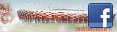 Zwiedzamstadiony.pl na Facebooku